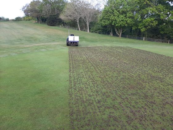 189281117_1194162137682124_2103672408434930241_n