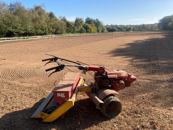 310129740_495887902553332_2709892774247257812_n